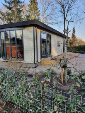 Cozy chalet for 4 Veluwe